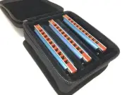 EASTTOP 10Hole Blues Diatonic Harmonica Set of 3 mouth organ set of A C G Gift