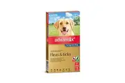 Spot-On Flea & Tick Control for Dogs over 25kg, Pack of 6