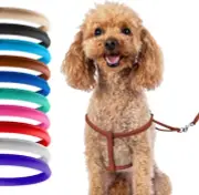 Outdoor Pets Rolled Leather Dog Harness Puppy Step-in Leash Brown Color Small