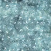 Hoffman Fabric ~ Mosquitos - Spa ~ Bali Batik Alaska ~ ~ 1/2 yard ~ 100% Cotton
