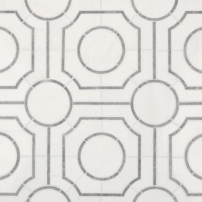 MSI SMOT-BIA-REGP Bianco Dolomite Regency 10" X 10" Polished - White