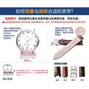 陶瓷表帶 代用阿瑪尼 凸口 白色19mm 14mm AR1439 AR1426 手錶帶