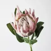 Artificial Protea King Flower Stem - Light Pink (Style 6)
