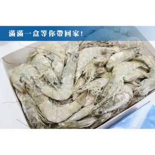 《元家-藍鑽蝦5/6》保證最便宜 吃過回不去 冷凍商品超便宜餐廳批發團購團媽網路直播全台出貨外島配送大量訂購請先私訊聊聊