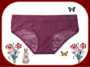 XXL KIR Berry Floral Dot ALLOVER Mesh Lace LOGO Victorias Secret Hiphugger Panty