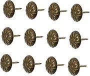 100Pcs Antique Chrysanthemum Upholstery Tacks Retro Decorative Nails for Furniture Aged Finish for DIY Projects and Crafts