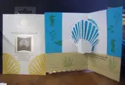 COUTURE Die - SEA SIREN SEA SHELL DIE - pop up die - ALL OCCASION beach