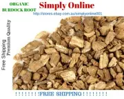 ORGANIC 500 Gram DRIED HERB BURDOCK ROOT - Arctium lappa - FREE POSTAGE