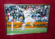 Steve Waugh Australian Cricket Team Signed Photo Image Framed Australia UV Safe