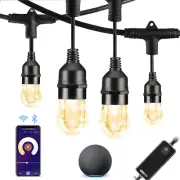 HVS Smart Outdoor String Lights LED 24Ft 12Bulbs Tunable Dimmable Warm White Wat