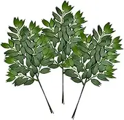 FUNORNAM 12Pcs Italian Ruscus Greenery Stems Artificial Silk Greenery Leaves Garland Vines Hanging Spray for DIY Wedding Arch Bouquet Filler Table Centerpieces Home Indoor Decor