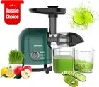 Cold Press Juicer Masticating Celery Carrot Wheatgrass Quiet BPA-Free Easy Clean