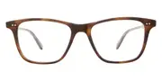 Garrett Leight HAYES SPBRNSH Men's Glasses Tortoiseshell Size 50 - Private Health Rebate - Blue Light Block Available