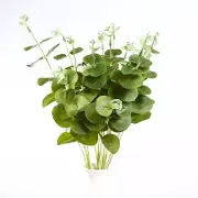 2 pcs 19" tall Light Green Eucalyptus Artificial Greenery Bushes Wedding Party