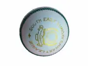 MB Malik " South East " Cricket Leather Hard Ball New