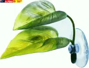 Betta Fish Leaf Pad Simulating the Natural Habitat for Betta Spawning Grounds Br
