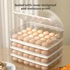 Double-layered Egg Storage Box Fully Egg Container for Refrigerator