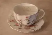 GRACE TEAWARE BIRDS FLORAL SPRING GARDEN COFFEE TEA CUP & SAUCER