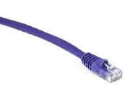 50 PACK LOT 7FT CAT6 Ethernet Patch Cable Purple RJ45 550Mhz UTP 2M