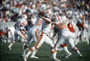 Steve Spurrier Tampa Bay Buccaneers drops back to pass v the New - 1976 Photo