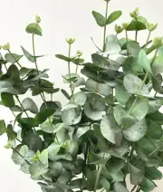 AUSTRALIAN NATIVE FLOWERS GUM STEM EUCALYPTUS FOLIAGE ARTIFICIAL BLUEGUM FAKE