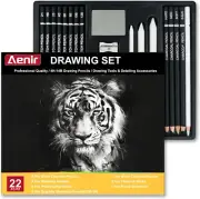 Professional Charcoal Pencil Set of 22 for Drawing and Sketching
