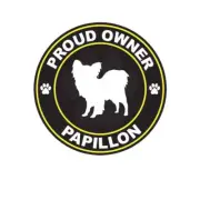 Proud Owner Papillon Sticker