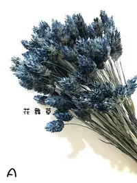 在飛比找Yahoo!奇摩拍賣優惠-療癒系 乾燥花材花束 復古藍 加那利 一束10支-捧花 胸花