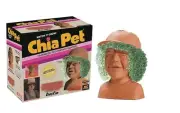 Stranger Things Chia Pet Dustin Decorative Pottery Planter