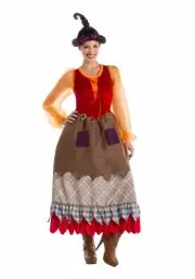 Hocus Pocus Mary Sanderson Salem Sisters Goofy Witch Adult Costume with Wig