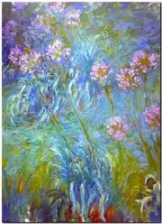 CLAUDE MONET ~ Agapanthus flowers ~ *FRAMED* CANVAS ART Poster ~ 24x16"