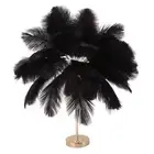 Modern Black Feather Table Lamp with Touch Dimmer & USB Power
