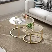 HEONITURE Gold Nesting Coffee Table Set of 2, Small Glass Nesting Tables for Living Room Bedroom, Accent Tea Table with Metal Frame