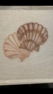 Hand Painted Needlepoint Canvas SEASHELLS ~ 14 " sq. with yarn