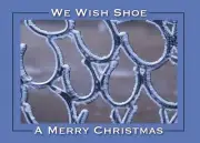 We Wish Shoe A Merry Christmas Frosty Horseshoe Farrier Christmas Cards