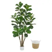 Artificial Leaf Fig Tree Tall Fake Leaves Plant with Woven Basket, 6ft Fiddle
