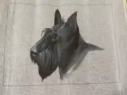 NEW Hand painted Needlepoint Canvas - Scottish Terrier, 10" x 14", Eric H Greene