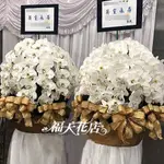 D105 大型追思白色蝴蝶蘭(對)、 (高以翔粉絲送)