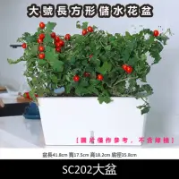 在飛比找momo購物網優惠-【品屋】大號長方形儲水花盆(懶人花盆 種菜盆 長形花盆 自吸