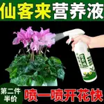 ✧【送禮品】仙客來營養液專用型花肥料營養全盆栽庭院花卉通用型催開花延花期