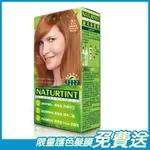 NATURTINT赫本 染髮劑 亮銅褐色(7C) 155ML/盒 西班牙原裝進口 原廠公司貨