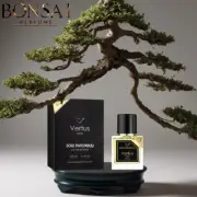 Vertus Paris Unisex Sole Patchouli EDP Spray 3.4 oz Fragrances
