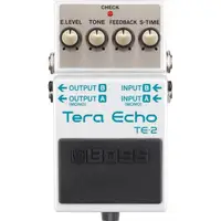 在飛比找蝦皮商城優惠-[免運公司貨] BOSS TE-2 Tera Echo 空間