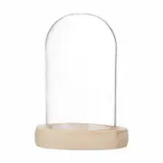 Cloche Glass Dome, 3.9"x2.4" Glass Display Case with Wooden Base [Wood]