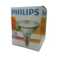 在飛比找特力屋線上購物優惠-[特價]4入 PHILIPS飛利浦 120W 220V PA