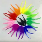 100PCS Pheasant RoosterFeather 5-6INCH/12-15CM Natural Chicken DyedPlume For DIY