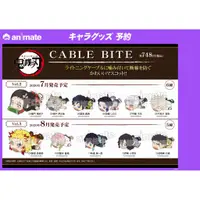 在飛比找蝦皮購物優惠-【ShanBeiR】代購現貨. 鬼滅之刃 CABLE BIT