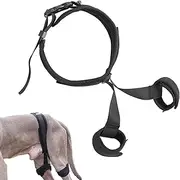 Dog Assistance Belt - Easy to Use Dog Assistance Belt, Long Lasting Dog Assistance Belt | Breathable Walking Aid Harness for Pets, H