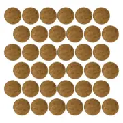 50Pcs Polished Coconuts Shell Ornament Round Coconuts Crafts Fish Tank