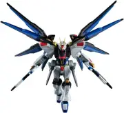 GUNDAM UNIVERSE Mobile Suit Gundam SEED DESTINY ZGMF-X20A STRIKE... book form JP